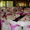 Chair Covers