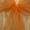 Apricot Organza