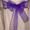 Purple-Organza